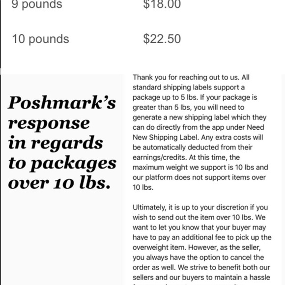 Poinsettia cardinal Christmas melamine dinner plates set of 4 - Picture 10 of 10